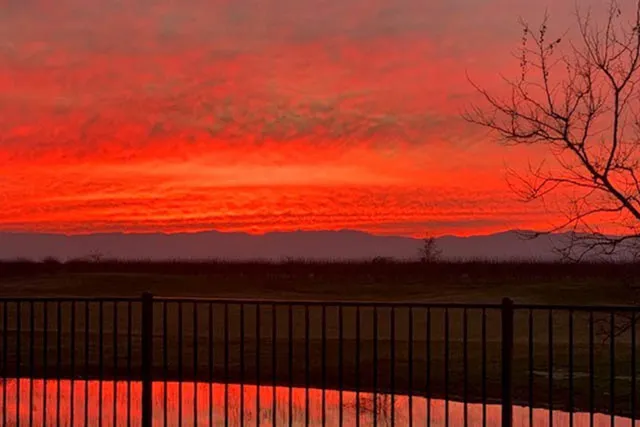 $1,100,000 | 18176 Gadwall Street, Woodland, CA 95695