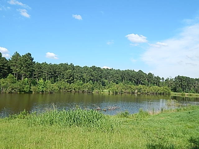 1934 Douglas Road Goodman, MS 39079 - Photo 11 of 20 Photo 11