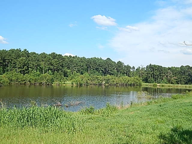 1934 Douglas Road Goodman, MS 39079 - Photo 12 of 20 Photo 12