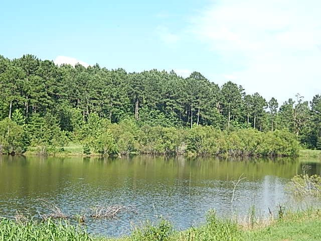 1934 Douglas Road Goodman, MS 39079 - Photo 17 of 20 Photo 17