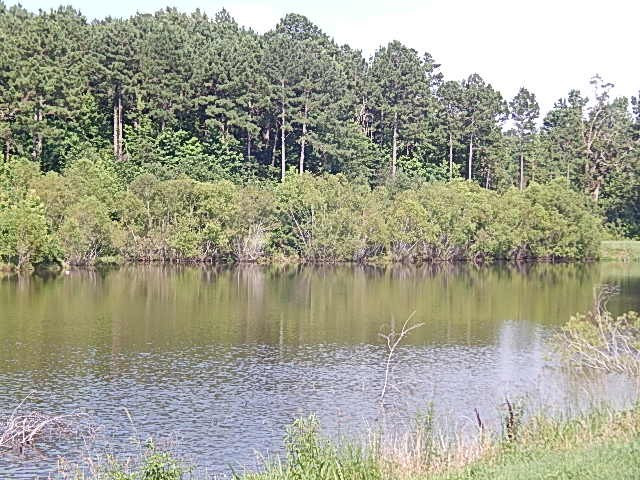 1934 Douglas Road Goodman, MS 39079 - Photo 19 of 20 Photo 19