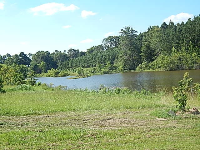 1934 Douglas Road Goodman, MS 39079 - Photo 4 of 20 Photo 4