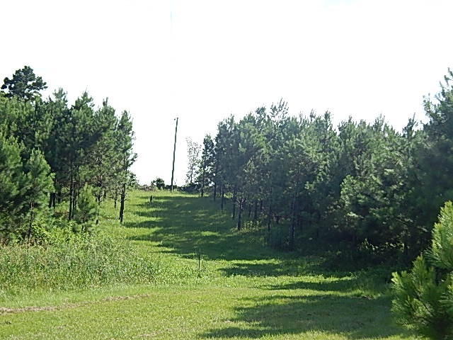 1934 Douglas Road Goodman, MS 39079 - Photo 5 of 20 Photo 5