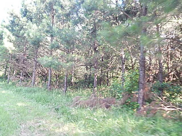 1934 Douglas Road Goodman, MS 39079 - Photo 7 of 20 Photo 7