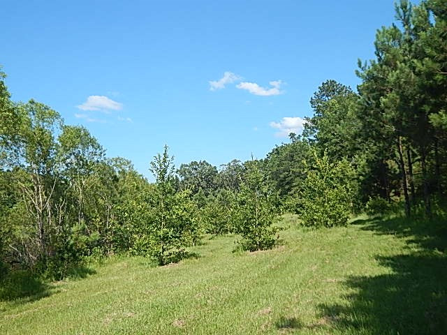 1934 Douglas Road Goodman, MS 39079 - Photo 8 of 20 Photo 8