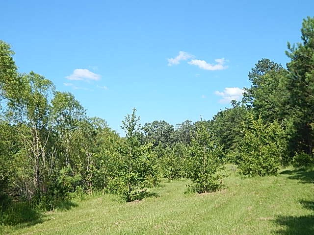 1934 Douglas Road Goodman, MS 39079 - Photo 9 of 20 Photo 9