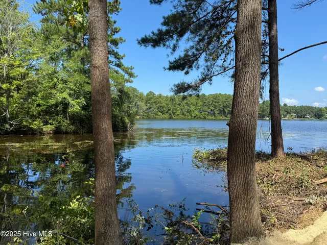 $975,000 | 7 Goldenrod Drive, Whispering Pines, NC 28327