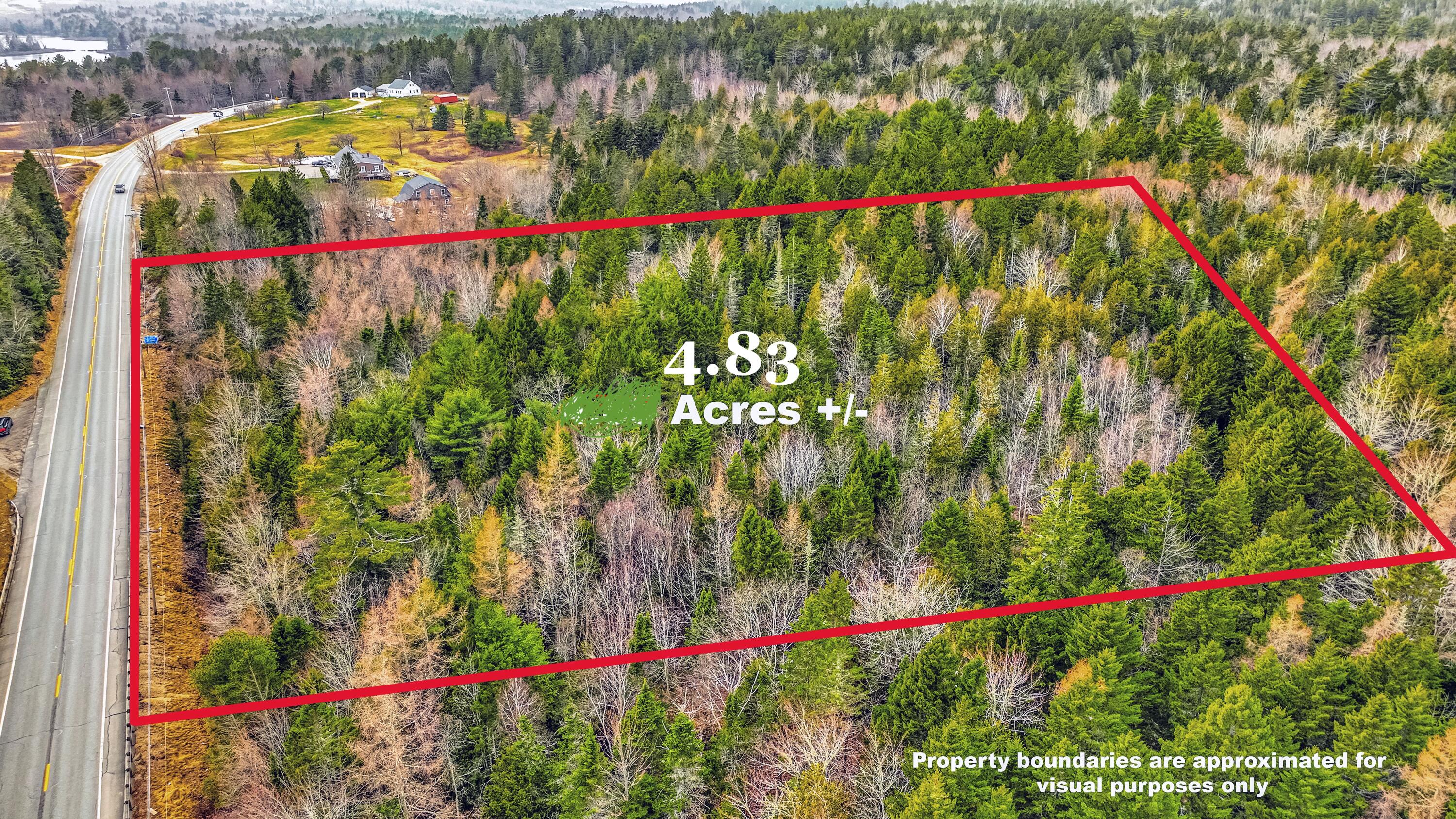 0 Swamp Road Gouldsboro, ME 04607 - Photo 1 of 6 Acreage Swamp