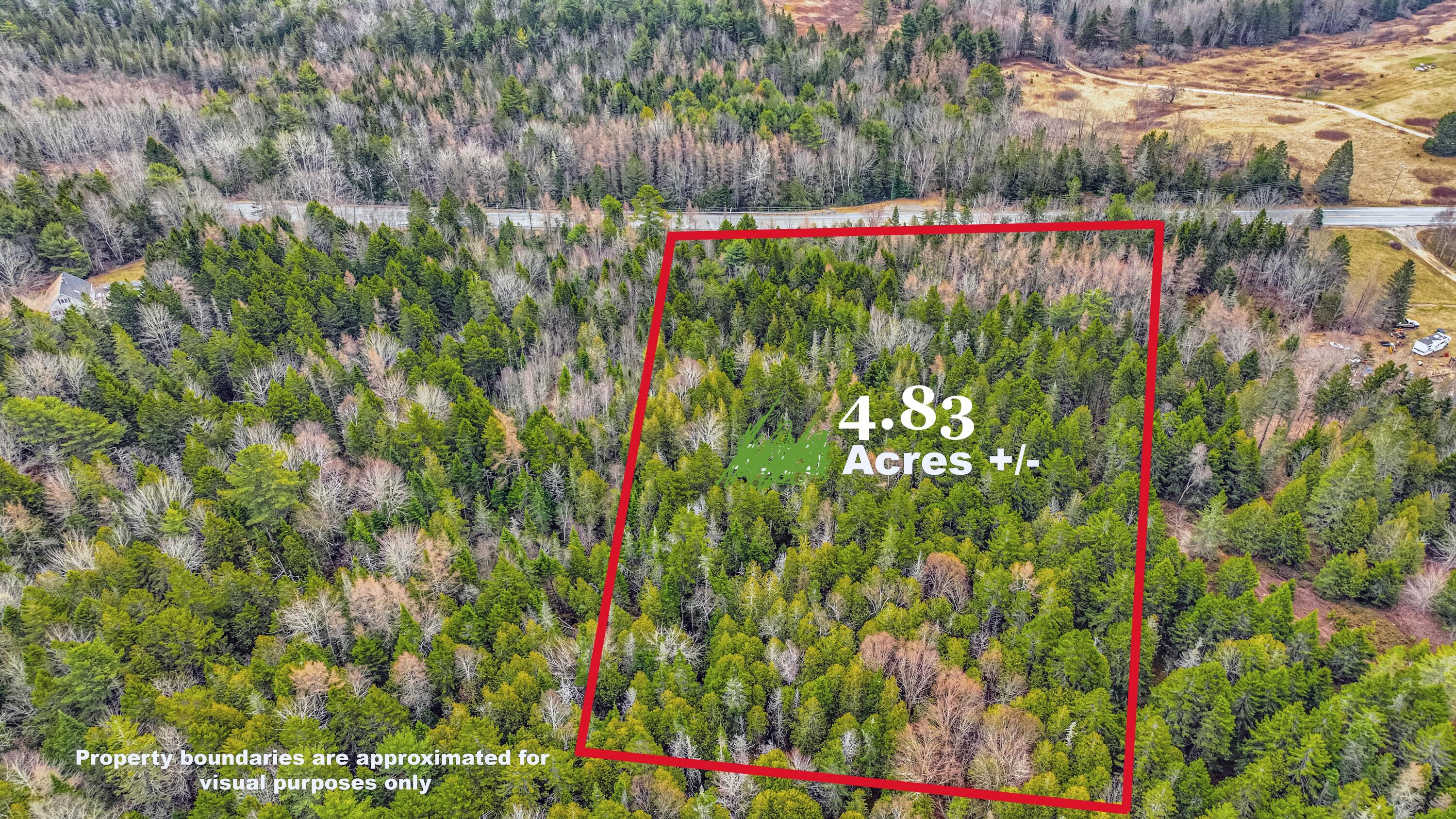 0 Swamp Road Gouldsboro, ME 04607 - Photo 6 of 6 With Border