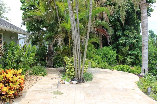 a view of a garden with plants