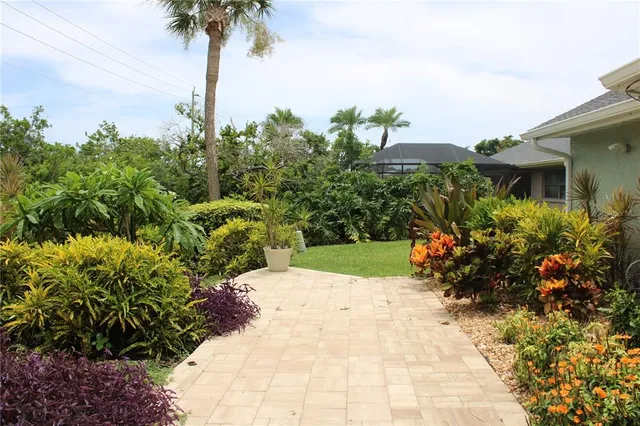 a view of a backyard with plants