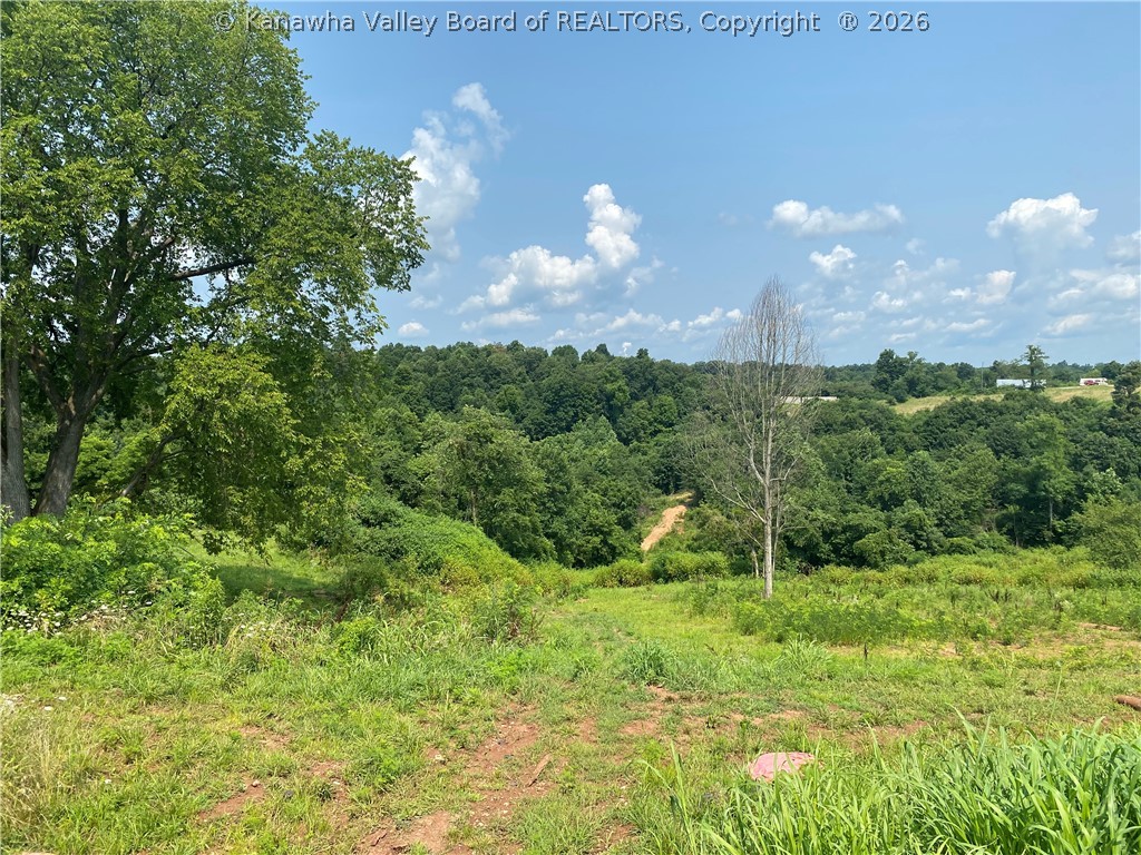 249 Hamilton Ridge Road Ravenswood, WV 26164 - Photo 10 of 28 Gallery Image 10