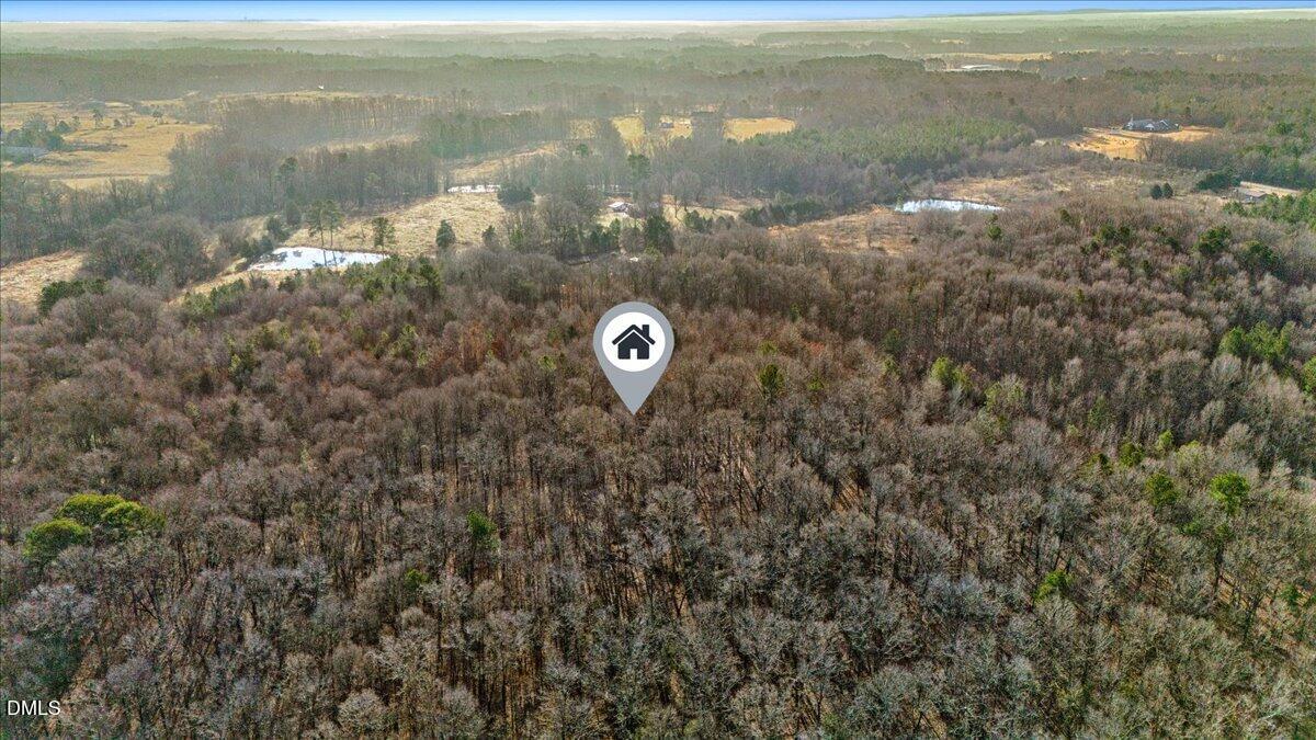0 Lee Emerson Road Bear Creek, NC 27207 - Photo 5 of 10 a view of a lake from a yard