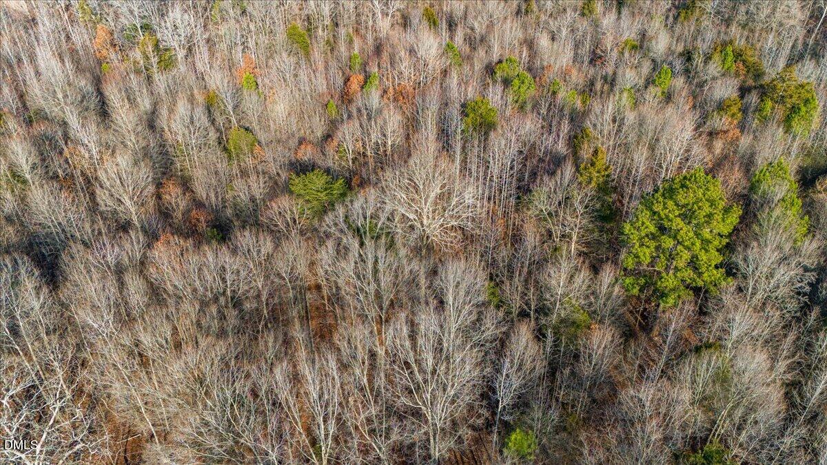 0 Lee Emerson Road Bear Creek, NC 27207 - Photo 10 of 10 a view of a tree