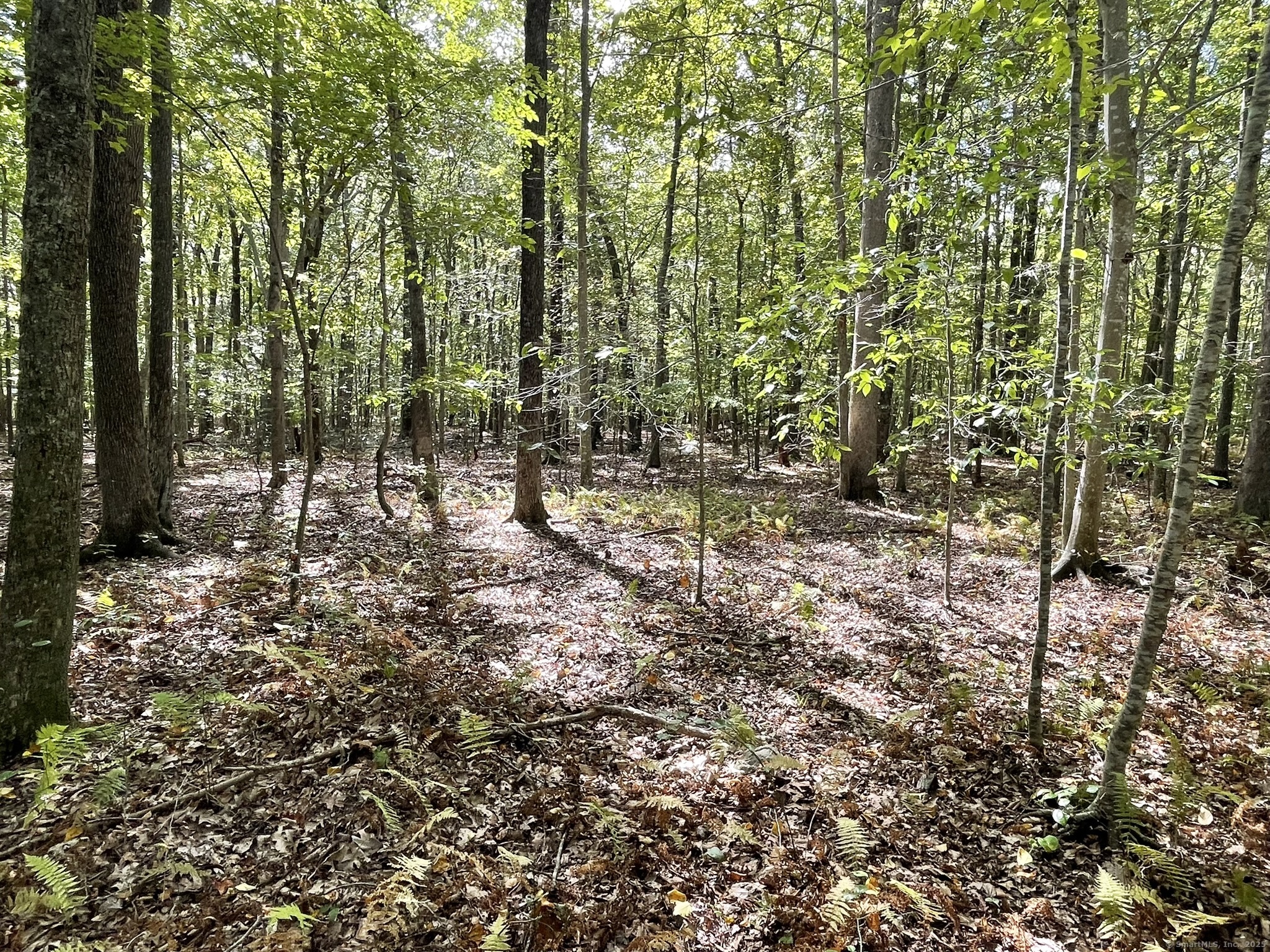 15 Short Hills Road Old Lyme, CT 06371 - Photo 11 of 31 a view of outdoor space with lots of green trees