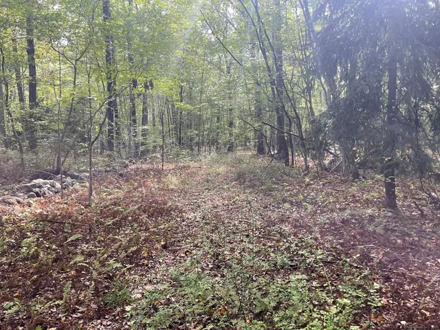a view of backyard with green space