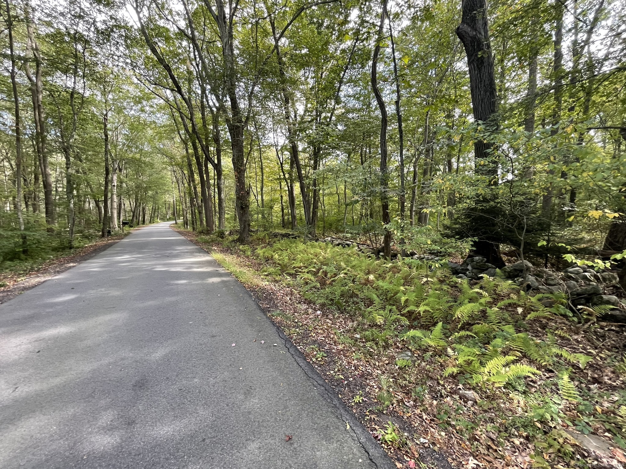 15 Short Hills Road Old Lyme, CT 06371 - Photo 15 of 31 a view of backyard with green space