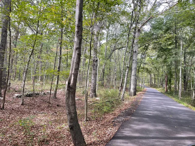 a view of outdoor space with lots of green space