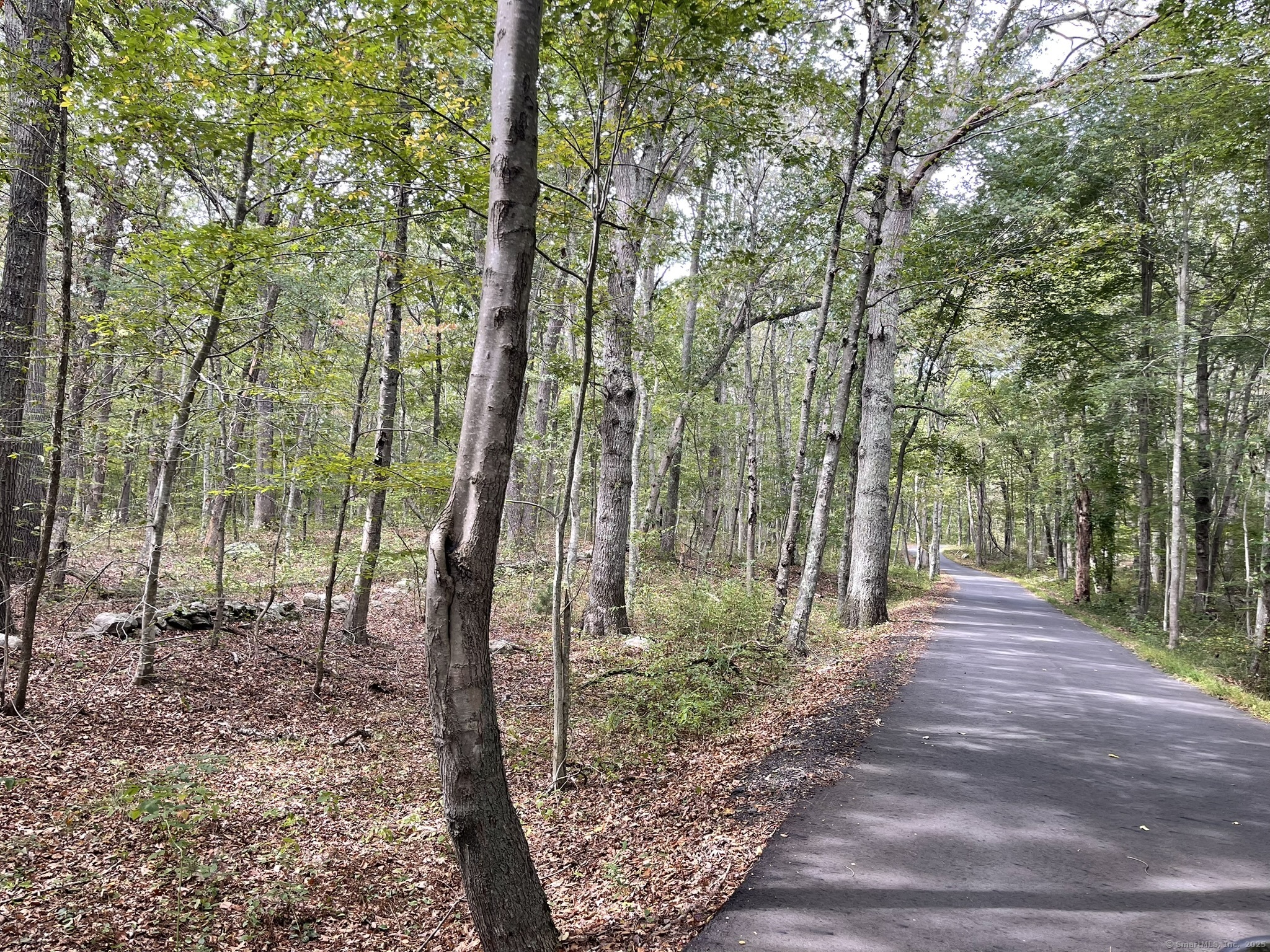 15 Short Hills Road Old Lyme, CT 06371 - Photo 16 of 31 a view of a backyard