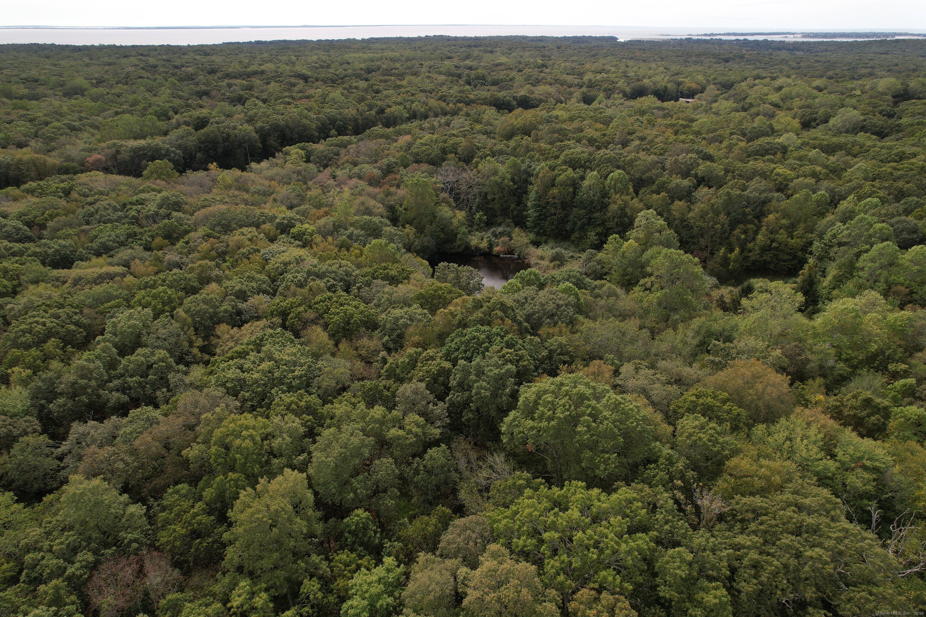 15 Short Hills Road Old Lyme, CT 06371 - Photo 21 of 31 a view of a forest with a street