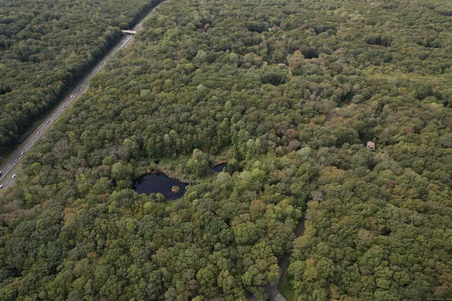 a view of a dry yard