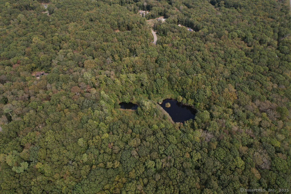 15 Short Hills Road Old Lyme, CT 06371 - Photo 25 of 31 a view of a dry yard with large trees