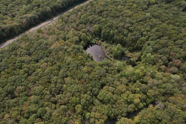 a view of a forest with a houses