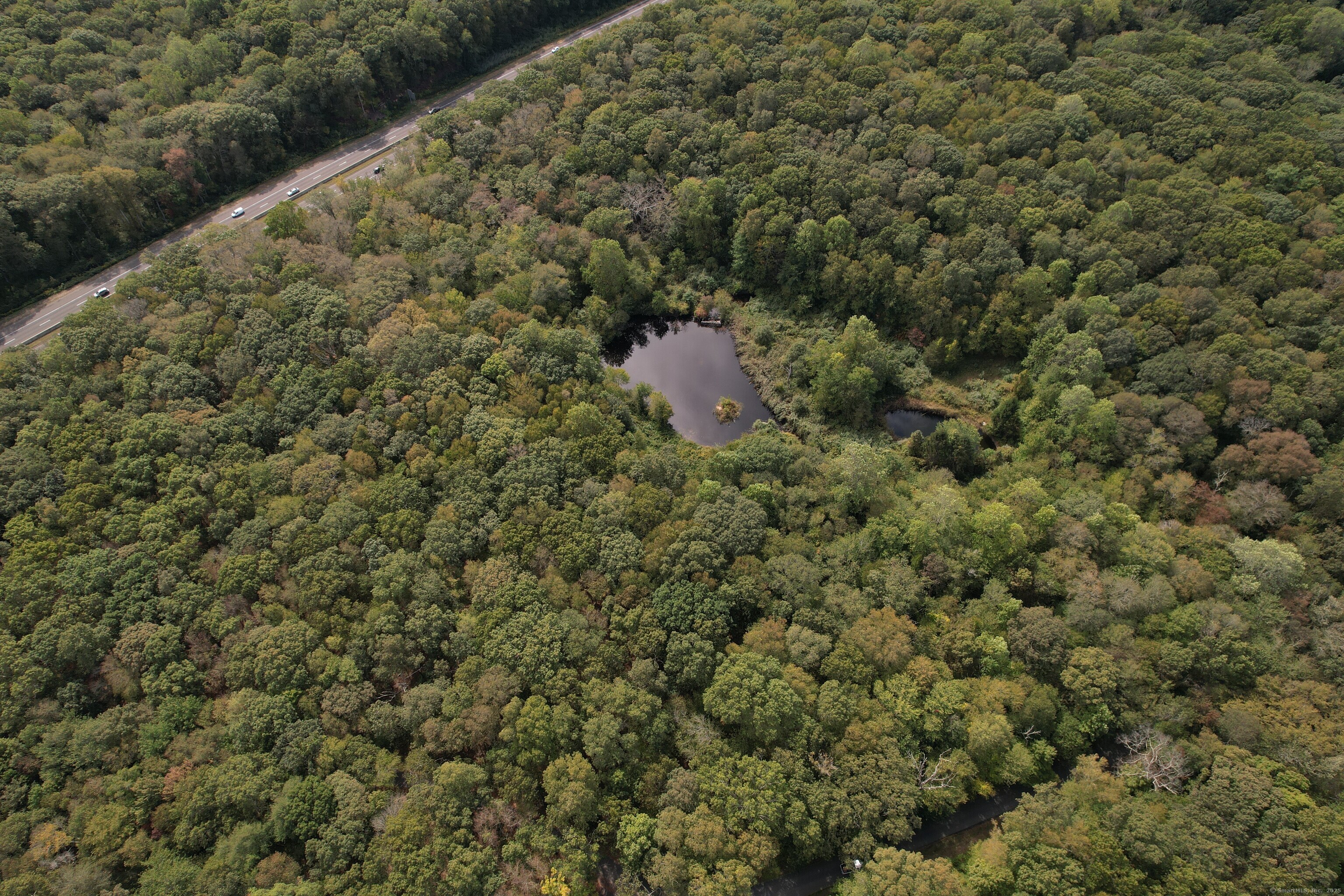 15 Short Hills Road Old Lyme, CT 06371 - Photo 29 of 31 a view of a forest that has a tree