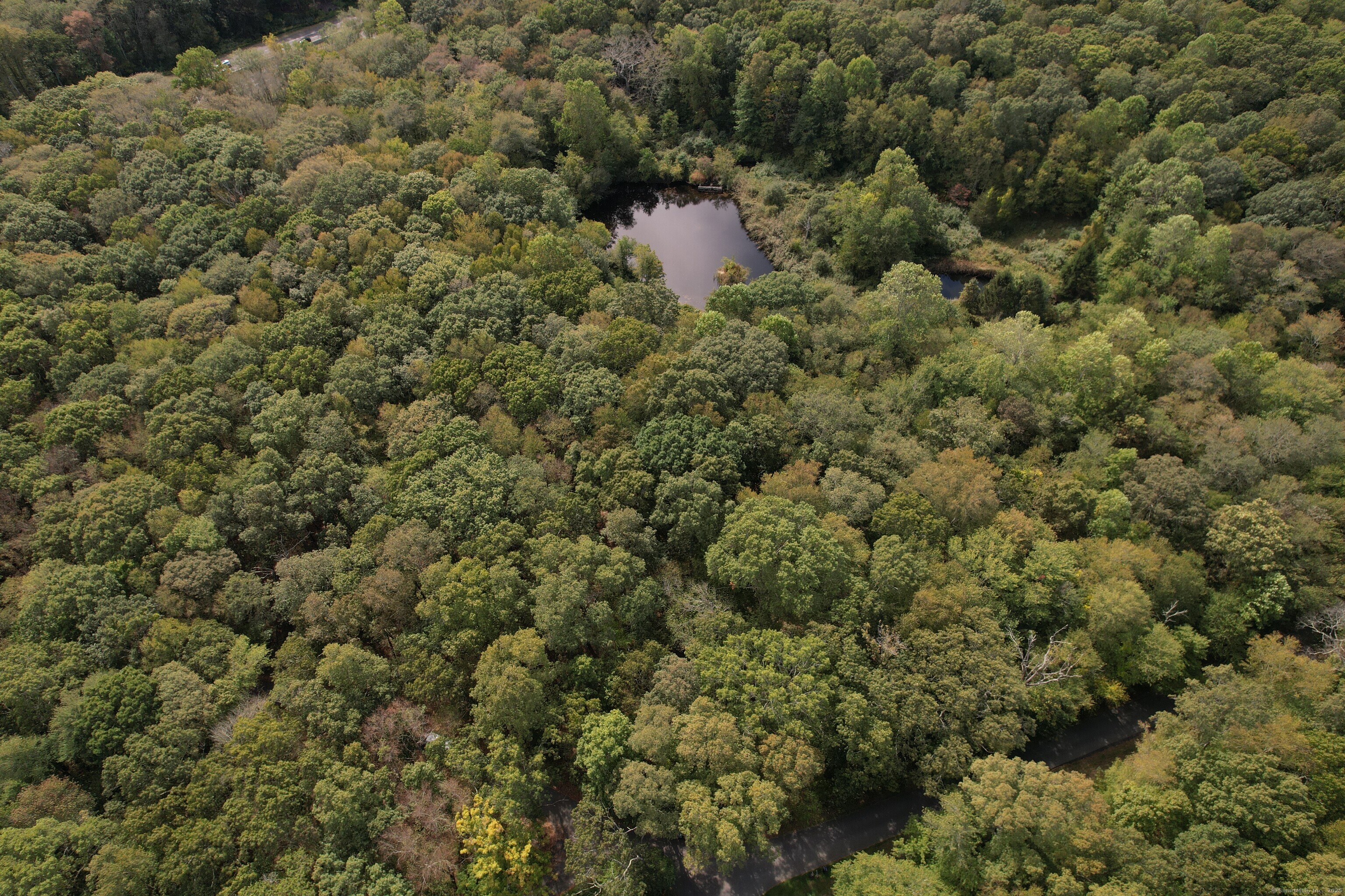 15 Short Hills Road Old Lyme, CT 06371 - Photo 30 of 31 a view of a forest with a houses