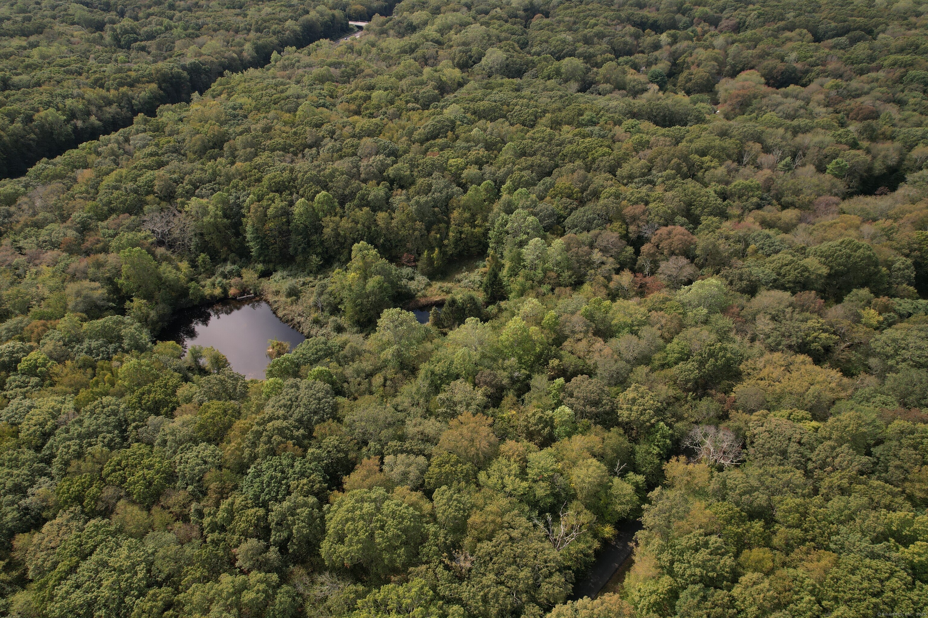 15 Short Hills Road Old Lyme, CT 06371 - Photo 31 of 31 a view of a forest with a houses