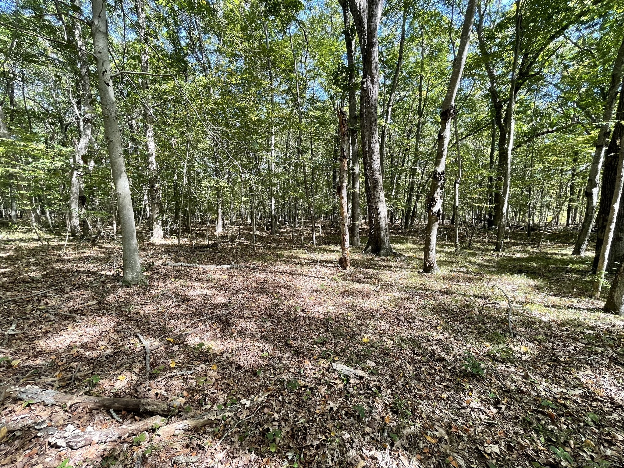 15 Short Hills Road Old Lyme, CT 06371 - Photo 8 of 31 a view of outdoor space with trees