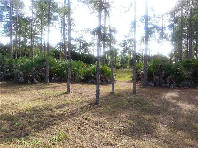 North 154th Road North Jupiter, FL 33478 - Photo 1 of 4 Primary Photo
