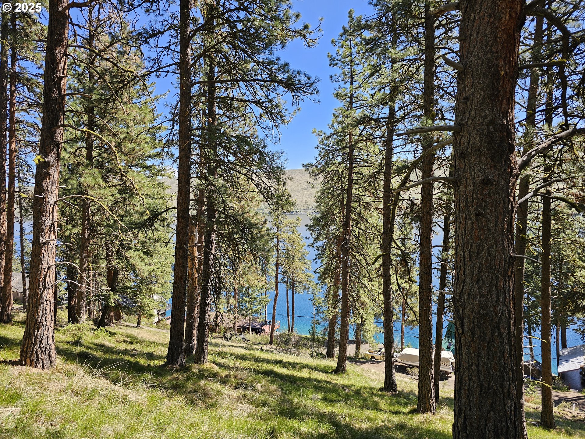 Lake Shore Road Joseph, OR 97846 - Photo 11 of 16