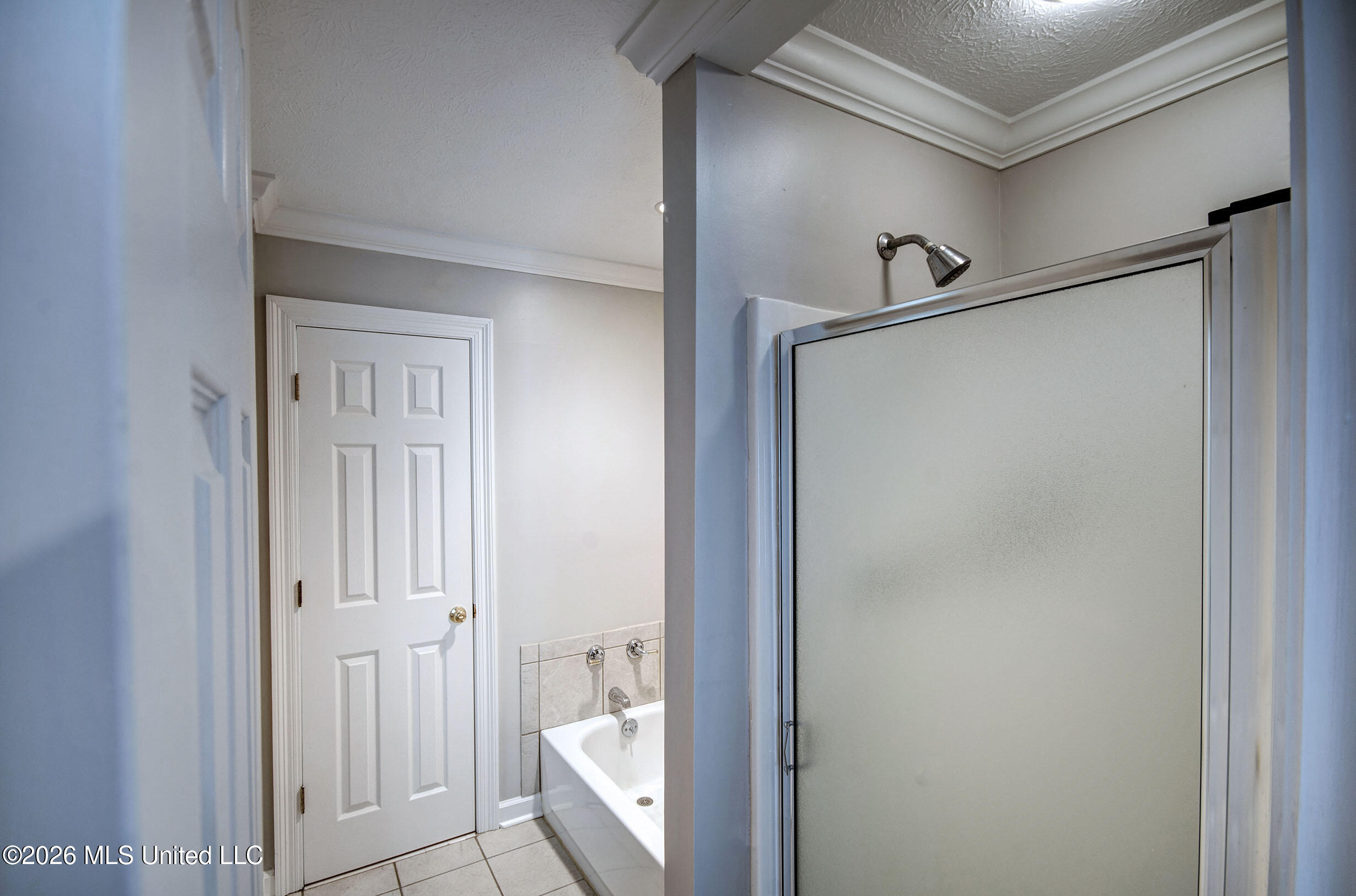 468 Wimbledon Drive Brandon, MS 39047 - Photo 50 of 58 IMGP9206_7_8