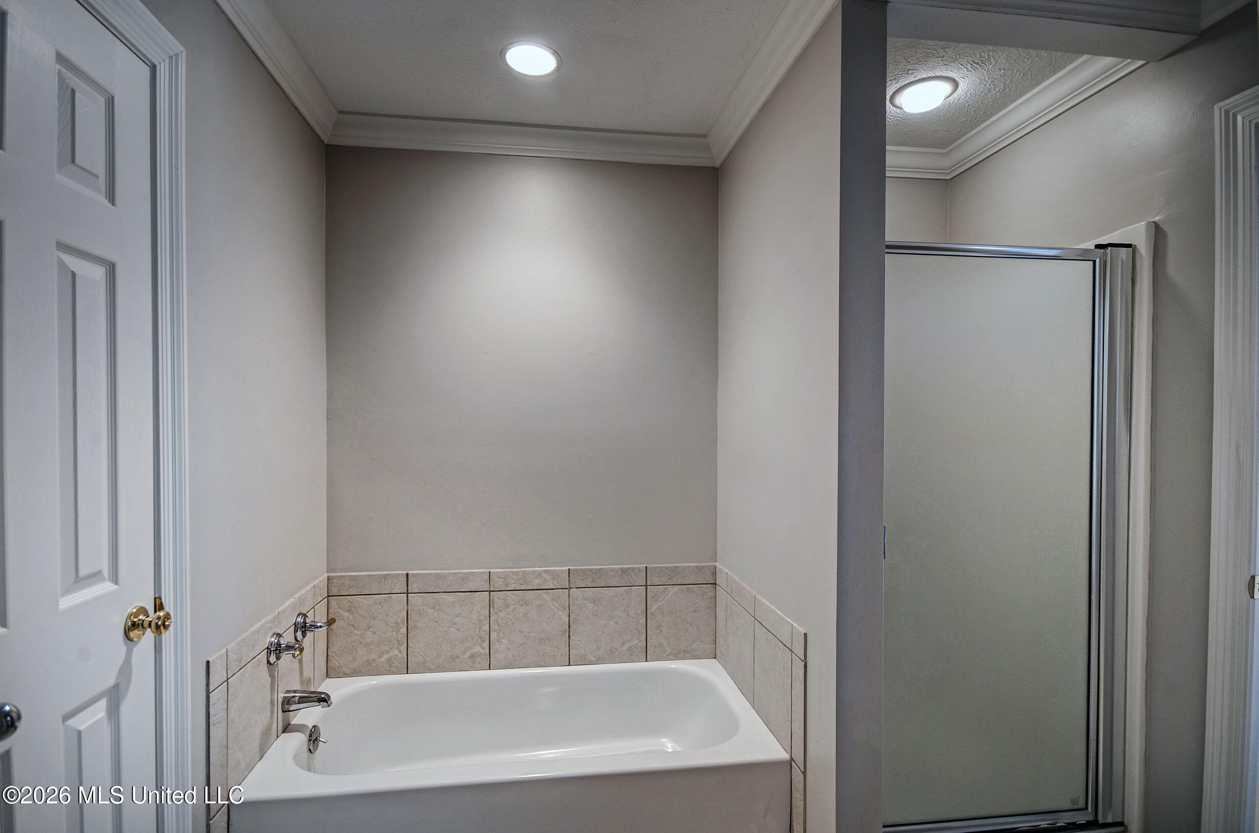 468 Wimbledon Drive Brandon, MS 39047 - Photo 51 of 58 IMGP9209_10_11