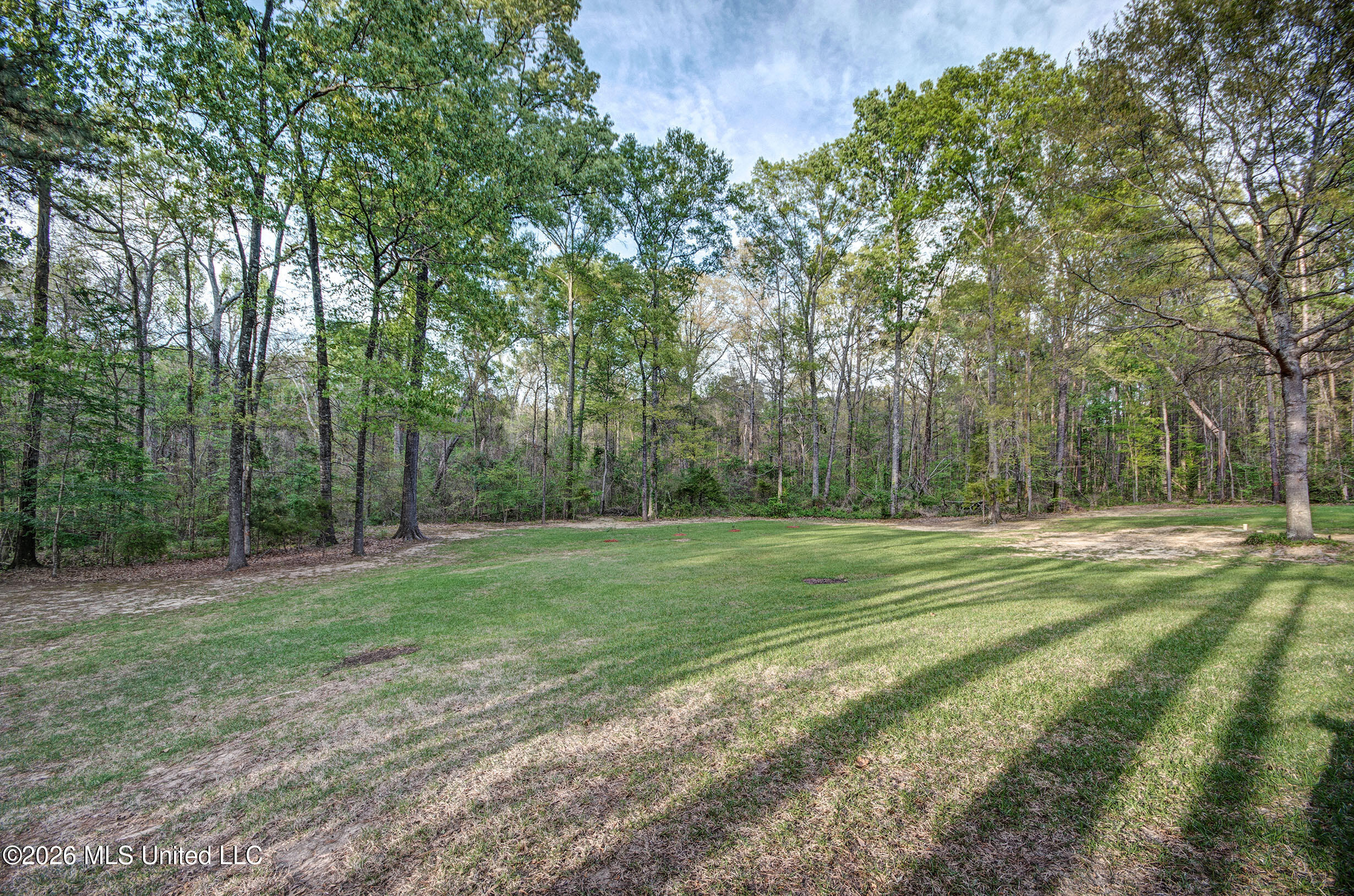 468 Wimbledon Drive Brandon, MS 39047 - Photo 10 of 58 IMGP4332_3_4