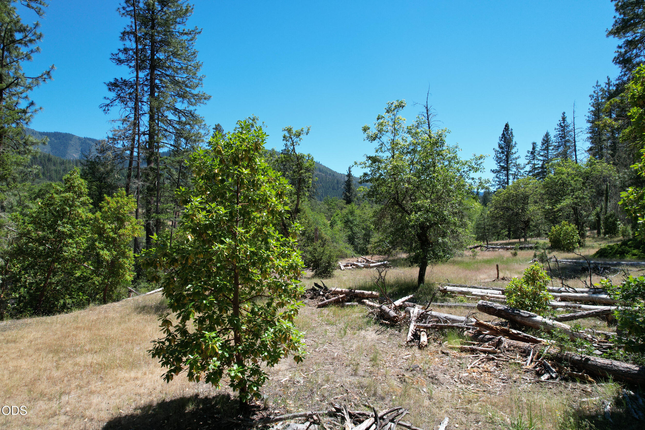 Kinney Cr Road, Unit 400 Jacksonville, OR 97530 - Photo 19 of 21