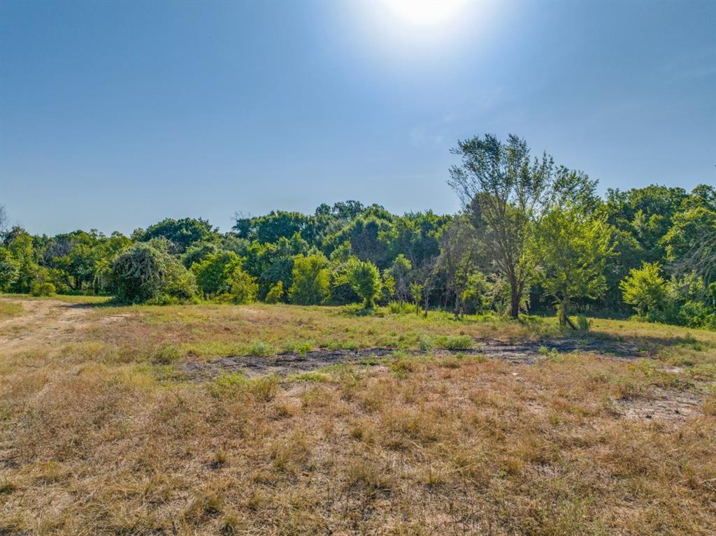 3737 East Highway 199 Springtown, TX 76082 - Photo 4 of 14 View of woods with a view of countryside