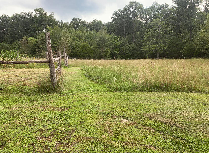 298 Rachel Road Crossville, TN 38572 - Photo 3 of 23 IMG_6123