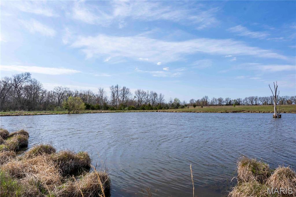 0 Highway A Other Mo 65257 Higbee, MO 65257 - Photo 68 of 99