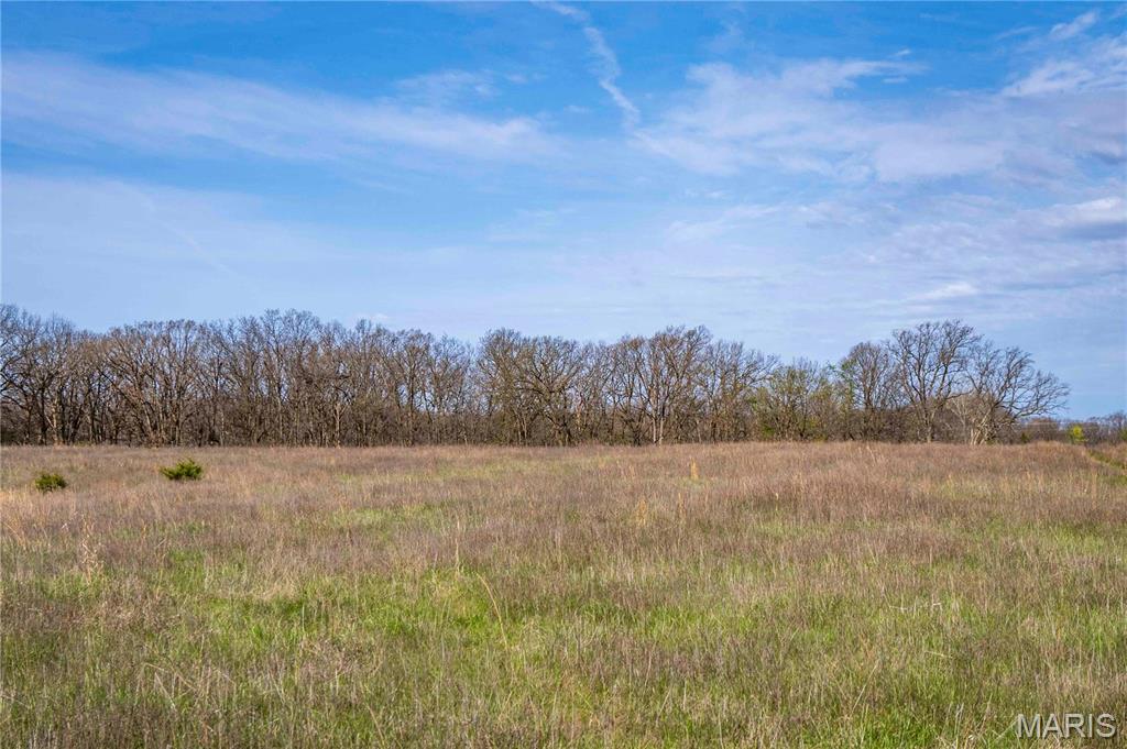 0 Highway A Other Mo 65257 Higbee, MO 65257 - Photo 91 of 99