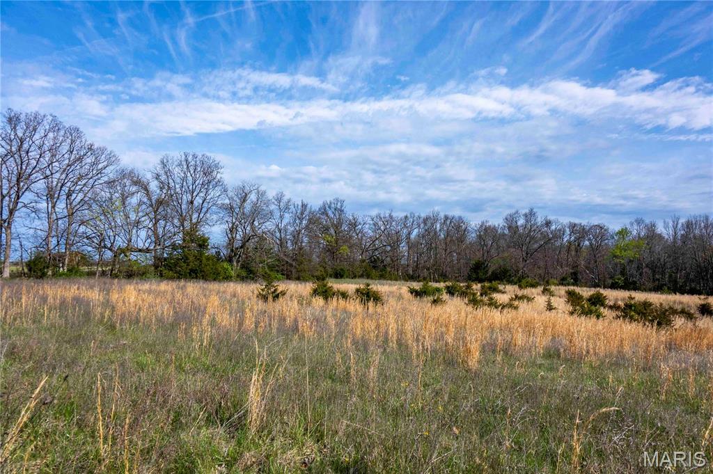 0 Highway A Other Mo 65257 Higbee, MO 65257 - Photo 92 of 99