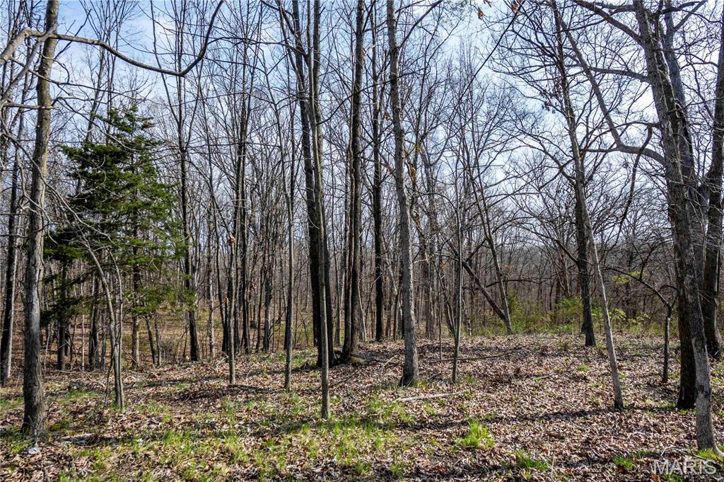 0 Highway A Other Mo 65257 Higbee, MO 65257 - Photo 96 of 99