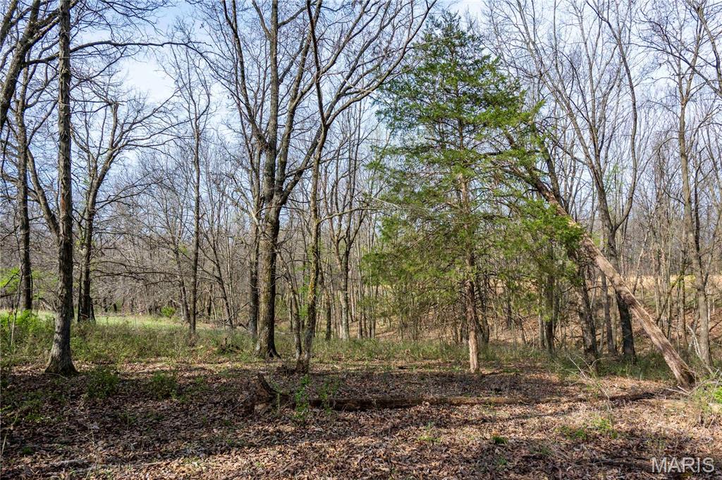 0 Highway A Other Mo 65257 Higbee, MO 65257 - Photo 97 of 99