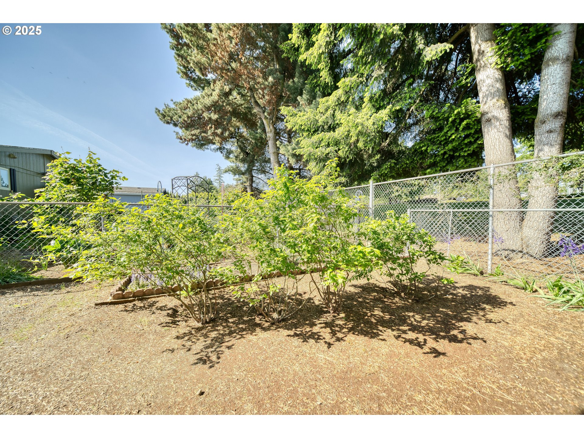 51587 Oak Grove Drive Scappoose, OR 97056 - Photo 22 of 28 Yard