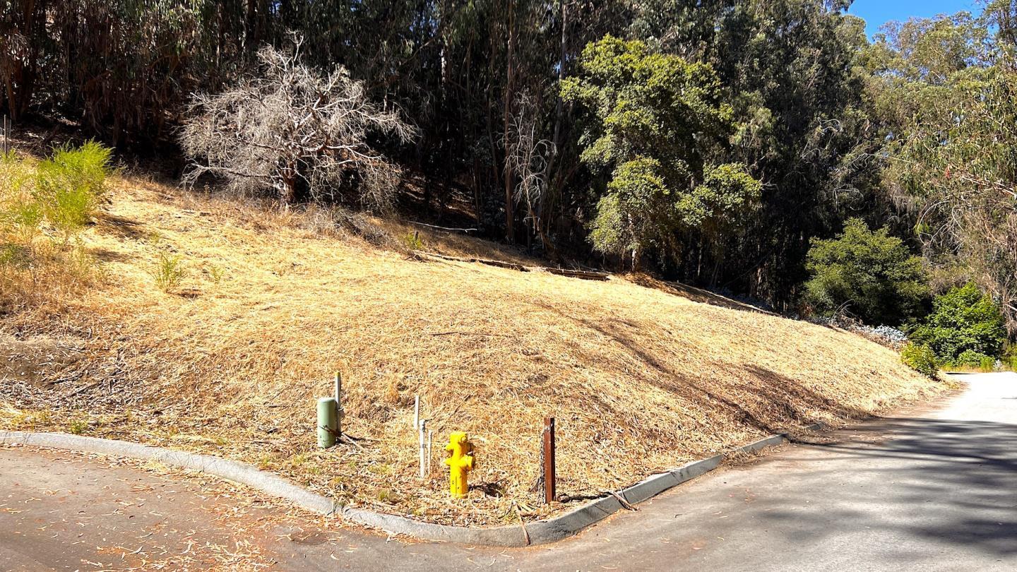 0 Lupine Lane Santa Cruz, CA 95065 - Photo 20 of 25
