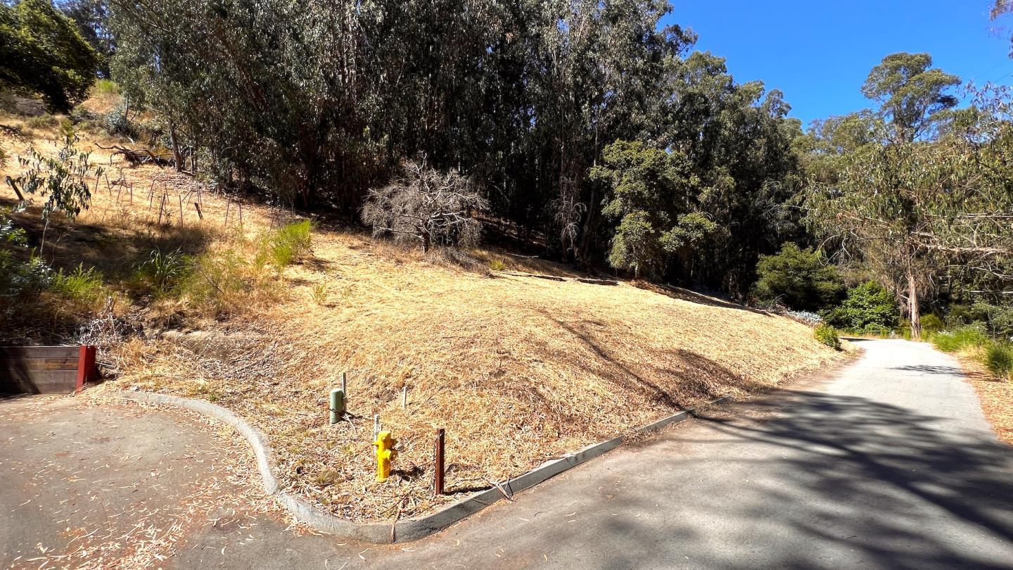 0 Lupine Lane Santa Cruz, CA 95065 - Photo 21 of 25