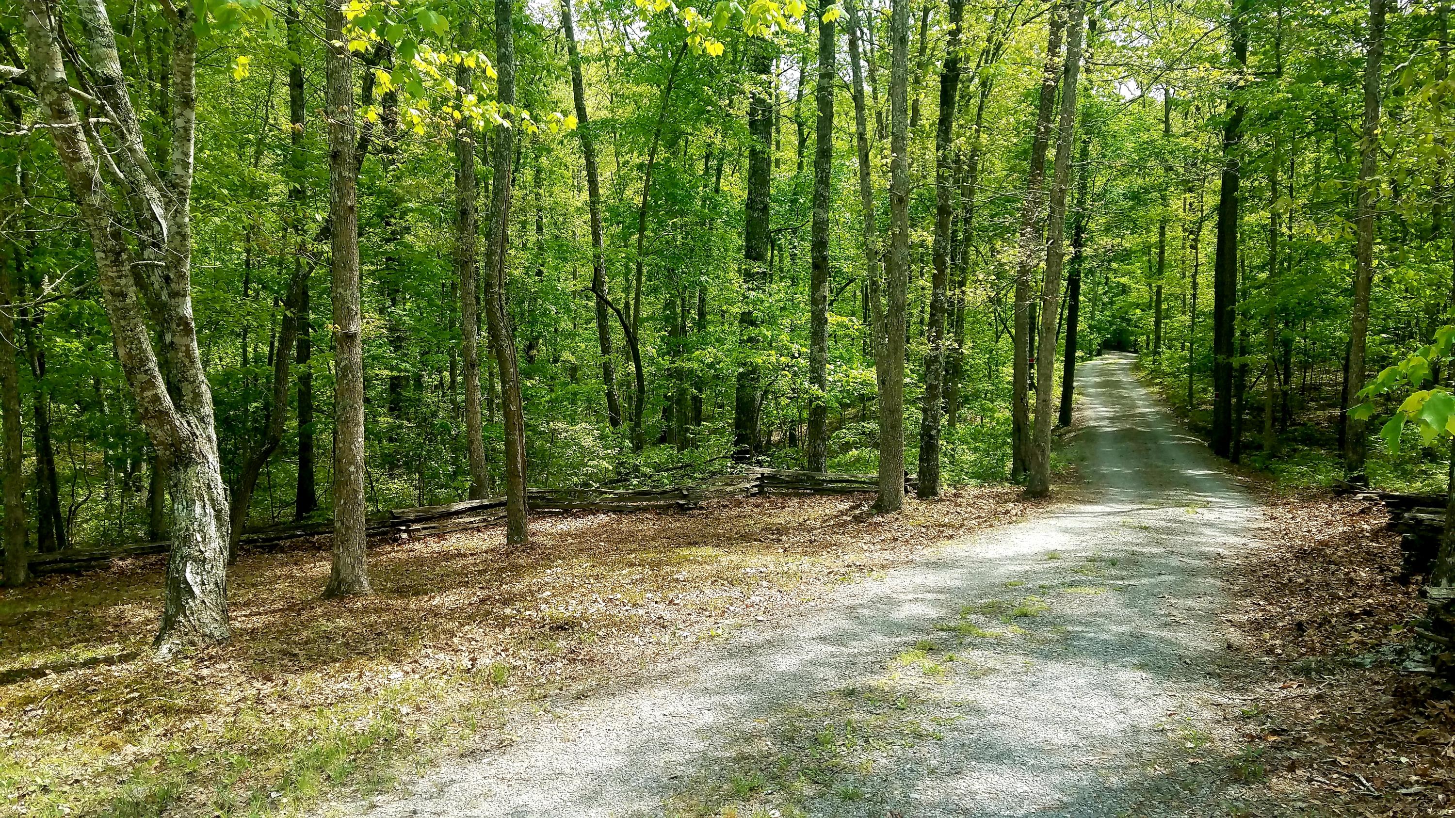 1105 Arrowhead Road Monterey, TN 38574 - Photo 22 of 24 20190507_145658