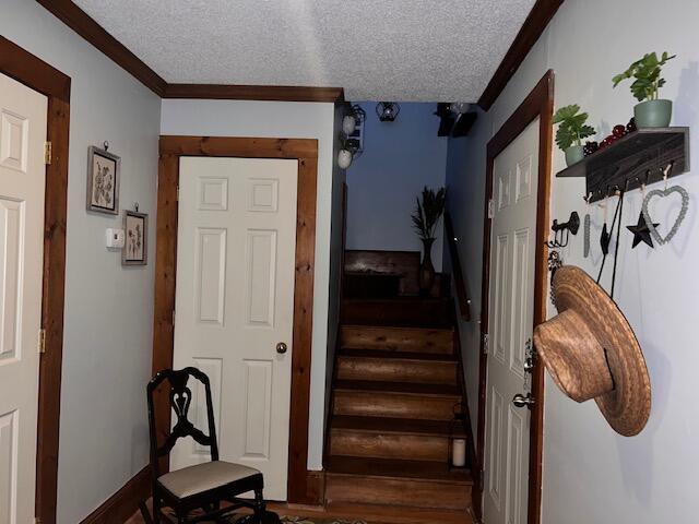 40 Rigby Street Manning, SC 29102 - Photo 42 of 45
