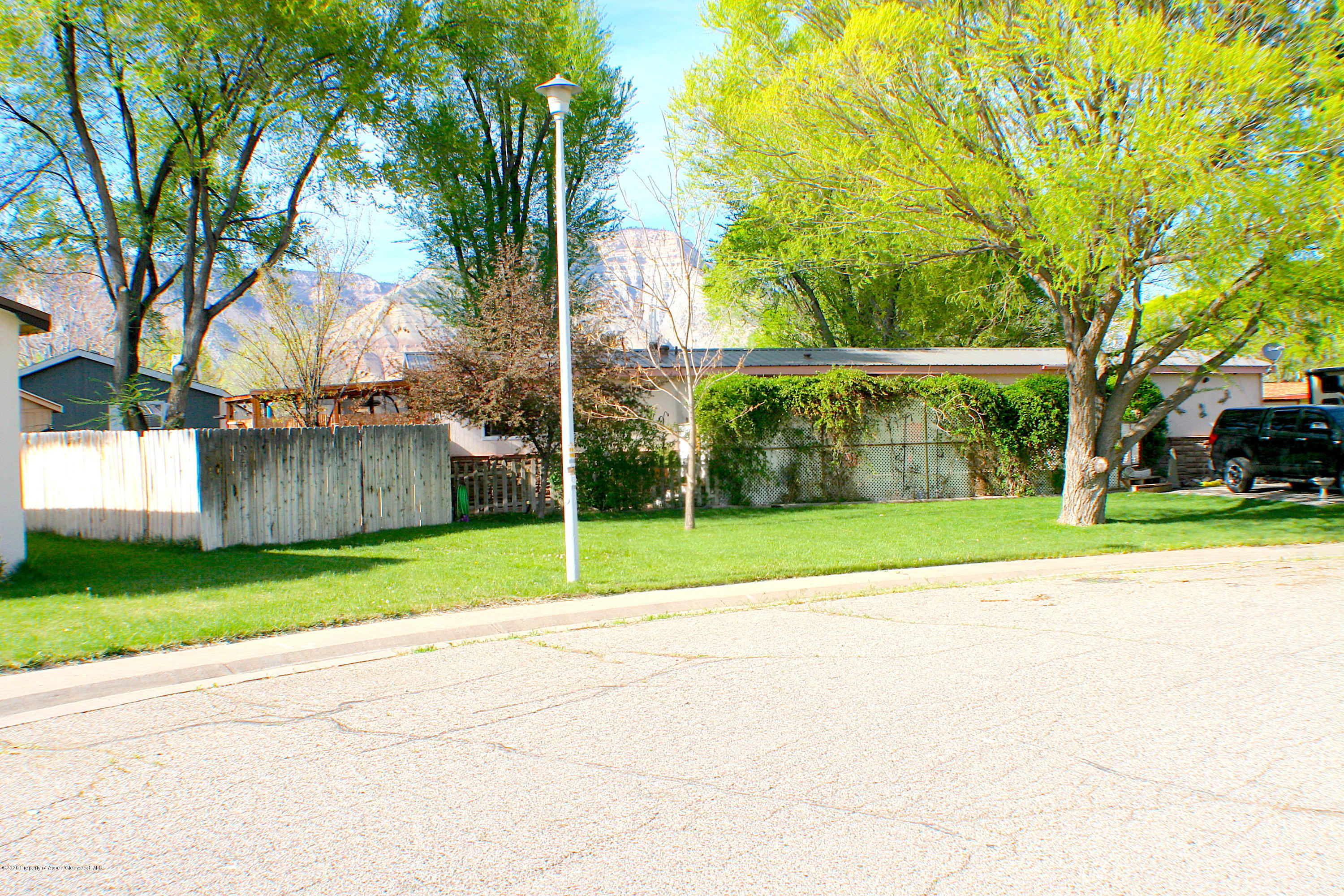a view of a yard with plants and trees